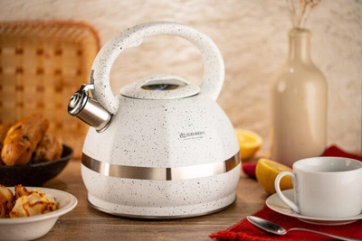 Чайник из нержавеющей стали со свистком Edenberg 3л EB-2475 White