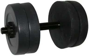 Гантель наборная Newt Rock 10 кг (NE-K-400-010)