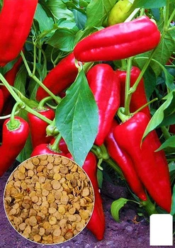 На развес Перец "Капия" Agro-Market цена за 1г (46103)