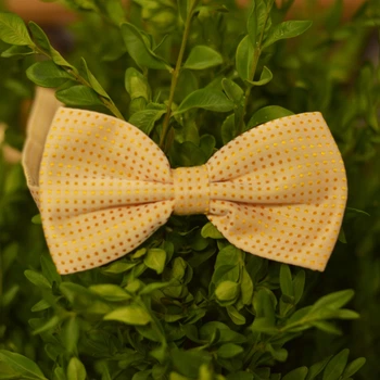 Бабочка Bow Tie House Basic оранжевая в мелкий оранжевый горошек 05697