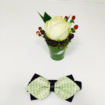Бабочка Bow Tie House Basic праздничная салатовая 04374