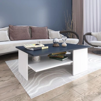 Стіл журнальний Blonski 355х900х600 мм Німфея альба/Графіт (47607)