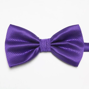 Метелик Bow Tie House Basic темно-фіолетовий стильний 01854