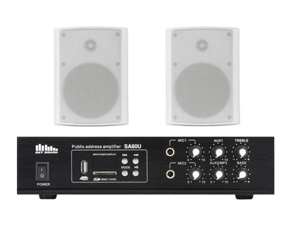 Акустический комплект SKY SOUND WSB-3002 (2934010)