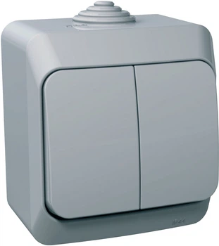 2-клавишный выключатель Schneider Electric Cedar Plus IP44 Серый (WDE000650)