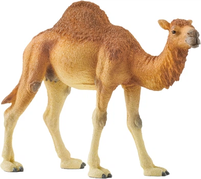 Іграшка-фігурка Schleich Верблюд Дромедар 10 см (4059433039671)