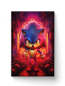 Картина FNBK Соник (Sonic the Hedgehog) 30x40 см