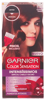 Farba do włosów Garnier Color Sensation Intensissimos 5.35 Castano Canela (3600541607156)