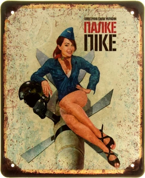 Металлическая табличка "Палке Піке (Повітряні Сили України)" (ms-103909)