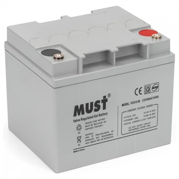 Гелевый аккумулятор Weekender-Must FCG12-38