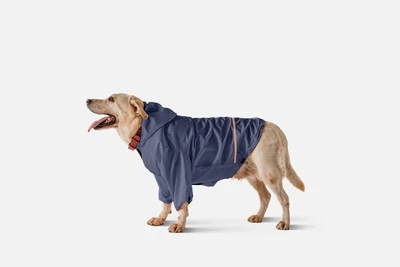Дождевик с капюшоном для собак Noblepet Blue, одежда для собак унисекс, 2XL (M4106/2XL-Blue)