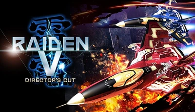 Игра Raiden V Director’s Cut для ПК (Ключ активации Steam)