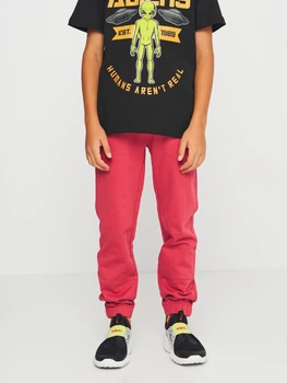 Детские спортивные штаны-джогеры Coccodrillo Everyday Boy B ZC3120101VBB-017 98 см Бордовые (5904986181317)
