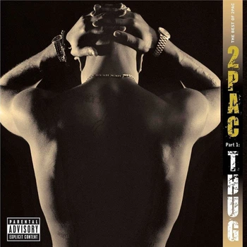 Виниловая пластинка 2Pac – The Best Of 2Pac - Part 1: Thug (2LP)