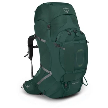 Рюкзак Osprey Aether Plus 100 axo green L/XL зелений