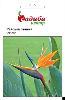 Стреліція Райська пташка, Садиба центр 3 шт