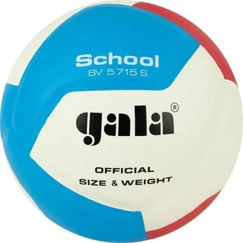 Мяч волейбольный School 12 Gala BV5715S