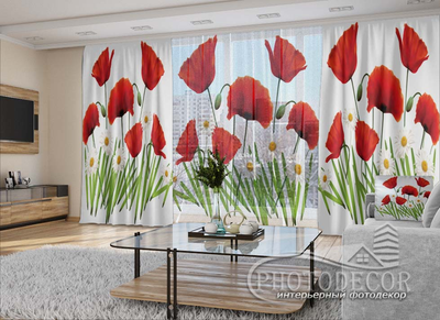 3D - Фото Штори і тюль PHOTODECOR "Маки і ромашки"