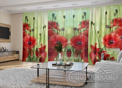 3D - Фото Штори і тюль PHOTODECOR "Маки 1"