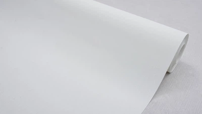 Обои виниловые на флизелиновой основе SINTRA Argo UNI 521304 (1,06х10,05м)