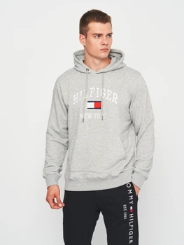 Худі чоловіче Tommy Hilfiger 11209.2 S Сіре