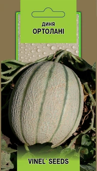 Насіння дині Ортолані (Ефіопка) 10 шт, Vinel' Seeds