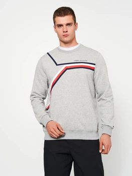 Свитшот мужской Tommy Hilfiger 11204 L (48) Серый