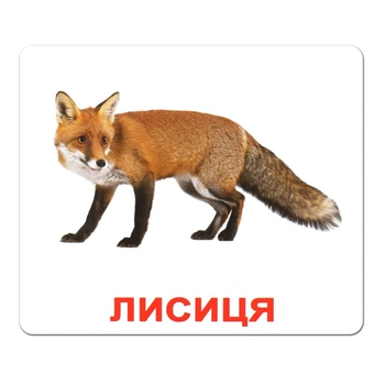 Картки Домана "Дикі тварини" на укр.