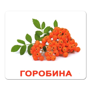 Картки Домана "Ягоди" українською