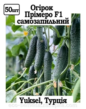 Семена огурец Примеро F1 Leda Agro 50 шт