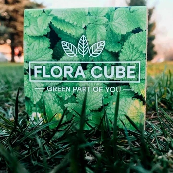 Экокуб Flora Cube мелисса