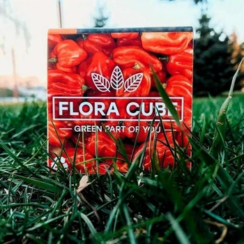 Экокуб Flora Cube перец хабанеро