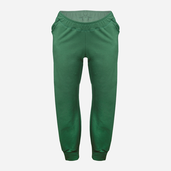 Спортивні штани жіночі DKaren Seattle L Зелені (5903251455047)