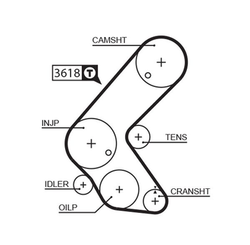 5563XS (8597-15563) Ремінь ГРМ GATES XS Gates (5563XS)