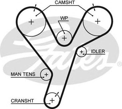 5446XS (8597-15446) Ремінь ГРМ GATES XS Gates (5446XS)