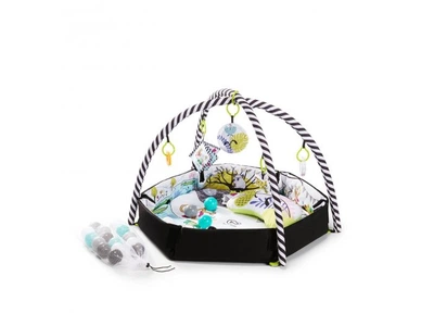 Развивающий коврик Smartplay, Kinderkraft, 00-00158405 (KKZSMART000000)