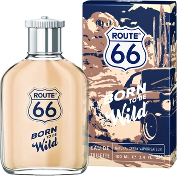 Туалетна вода для чоловіків Route 66 Born To Be Wild Wida 100 мл (4011700932092)
