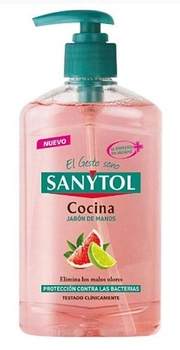 Mydło w płynie Sanytol Kitchen Hand Soap 250 ml (8411135005051)