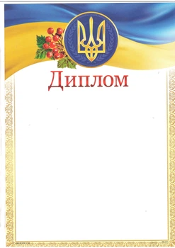 Диплом ДМ-031, ціна за 1шт (ДМ-031)
