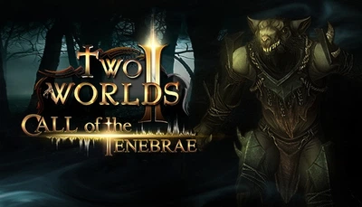 Дополнение Two Worlds II - Call of the Tenebrae для ПК (Ключ активации Steam)