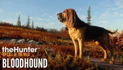 Дополнение TheHunter: Call of the Wild - Bloodhound - Europe для ПК (Ключ активации Steam)