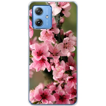 Силіконовий чохол BoxFace Motorola G54 Power Вишневі Квіти (50388-up1005)