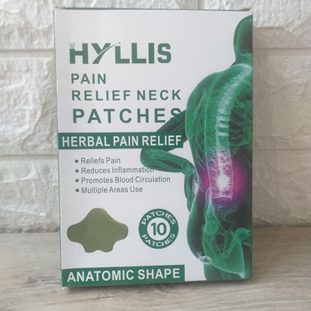 Обезболивающий пластырь для спины HYLLIS 10шт/1уп (KG-10875)