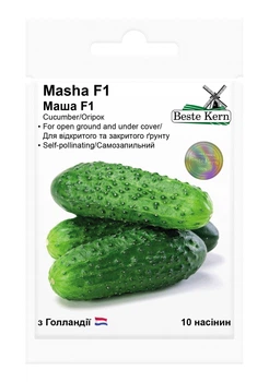 Насіння огірка Маша F1, 10шт, Seminis, Голландія, Beste Kern
