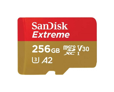 Карта памяти microSDXC SanDisk Extreme Mob Gaming 256Gb cl 10 V30 (R170MB/s,W80MB/s) SDSQXAV-256G-GN6GN