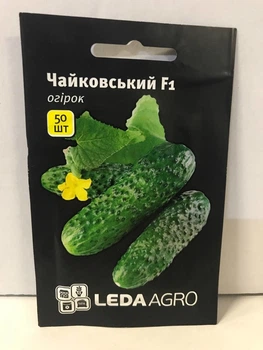 Насіння огірка Чайковський F1 партенокарпічний корнішон 50 шт LedaAgro