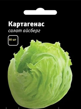 Насіння салату Картагенас зелений айсберг 30 шт LedaAgro