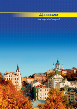 Книга канцелярська Buromax A4 в лінію 96 аркушів (BM.2401)
