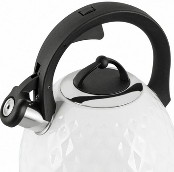 Tefal kettle induction cooker kettle SS induction k2481574 with whistle  Utensils for kitchen Stainless steel