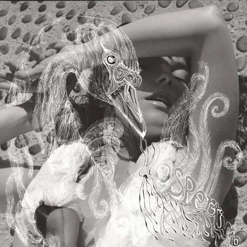 Виниловая пластинка Bjork Vespertine